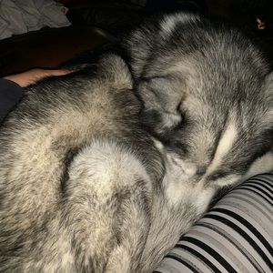 Meet your Posher, Kiele